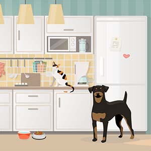 Pet emergencies